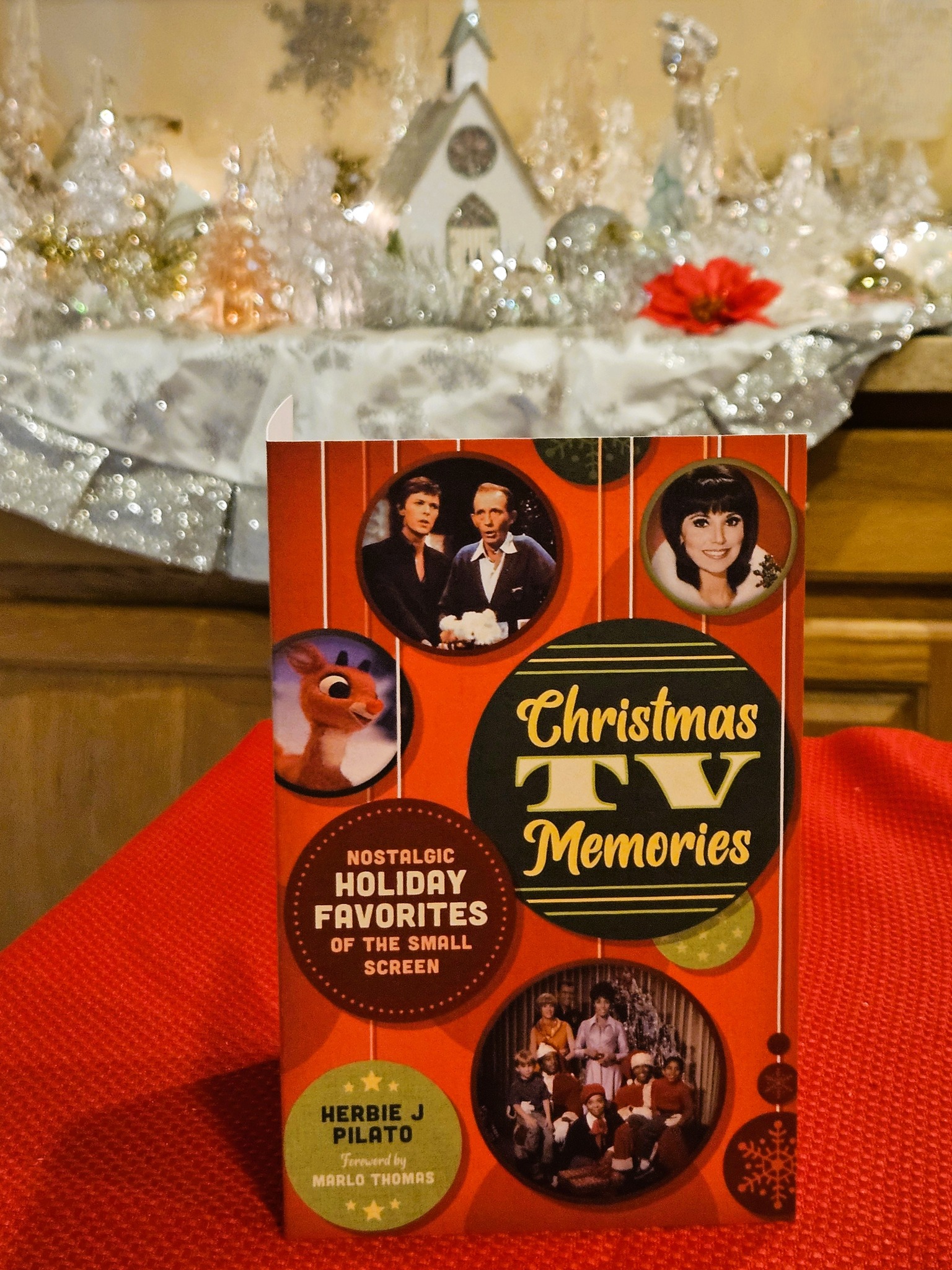 Christmas TV Memories book display