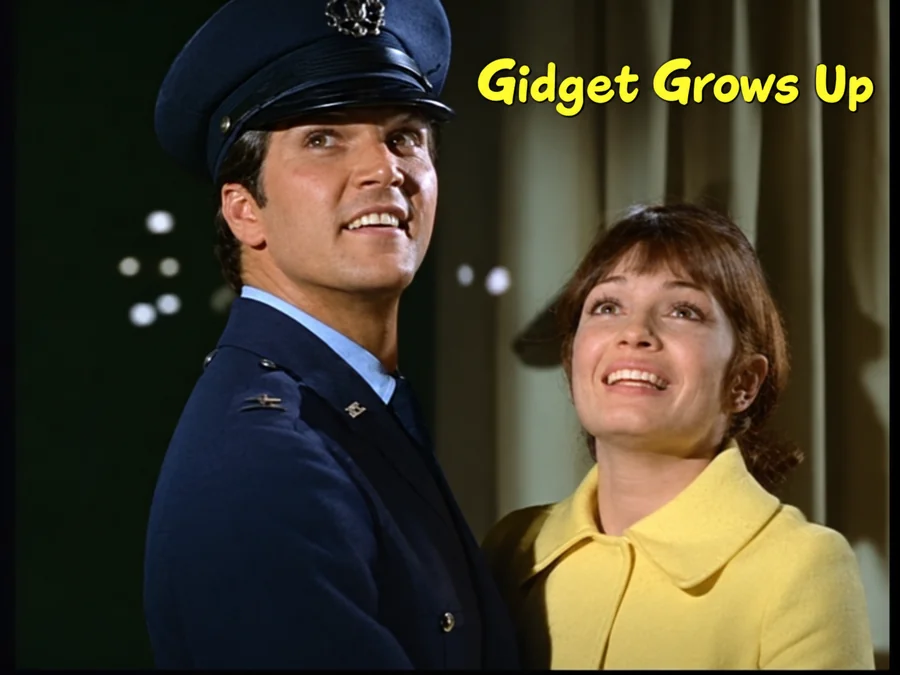 Paul Petersen in Gidget Grows Up